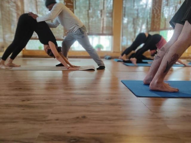 tarang yoga ashram yoga teacher training