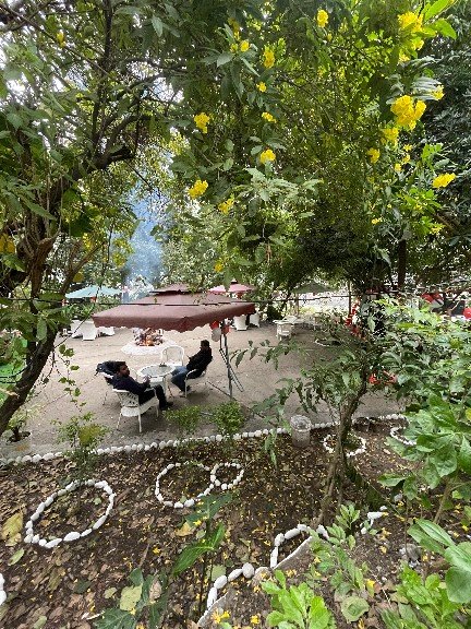 Yoga School In Rishikesh