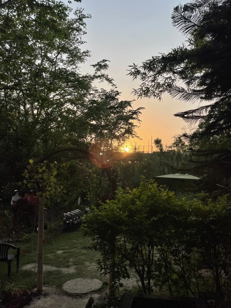 Yoga School In Rishikesh