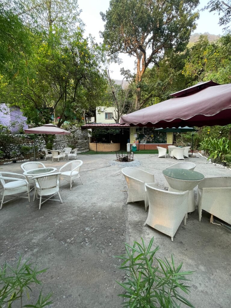 Yoga School In Rishikesh